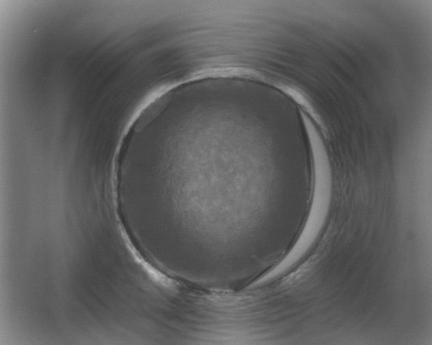 X0000063441046200601231320