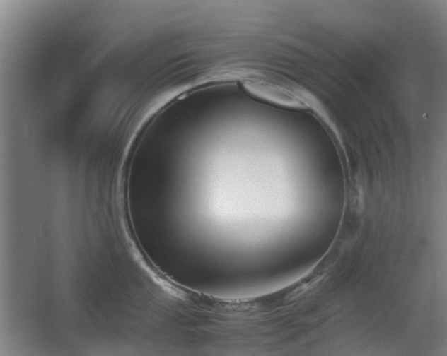 X0000063441053200601231321