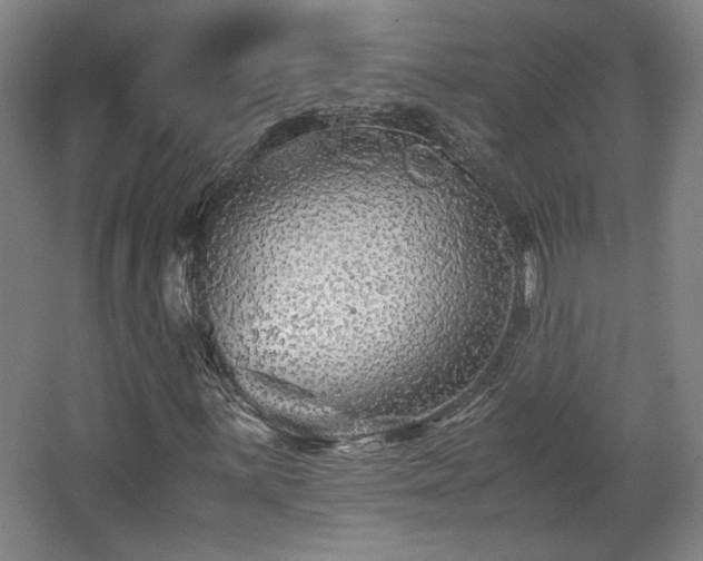 X0000063441059200601231320