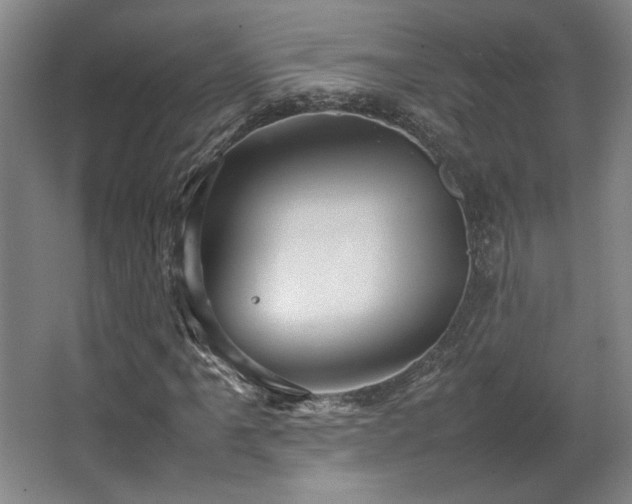 X0000063441061200601231320