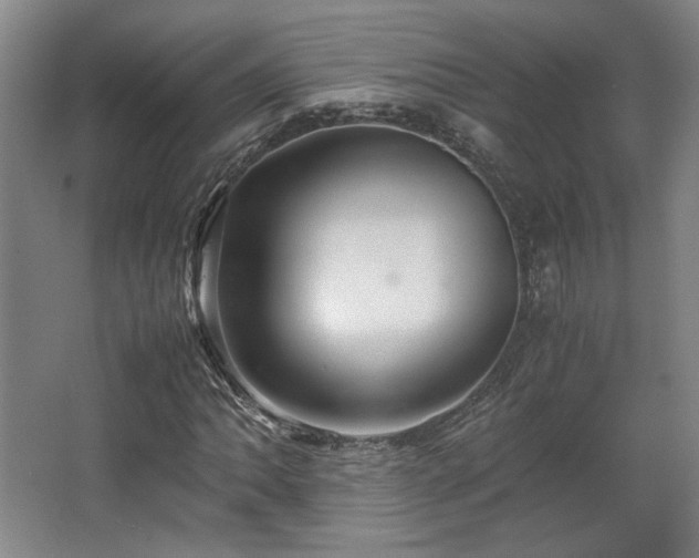 X0000063441062200601231320