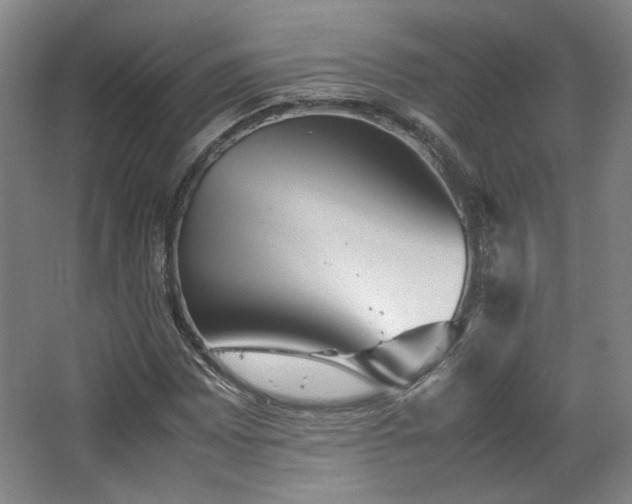 X0000063441065200601231320