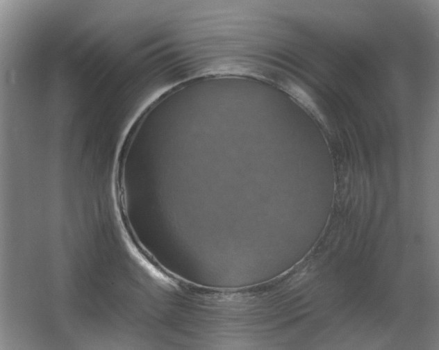 X0000063441084200601231319