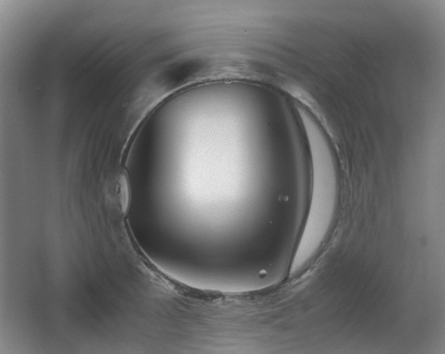 X0000063441089200601231319