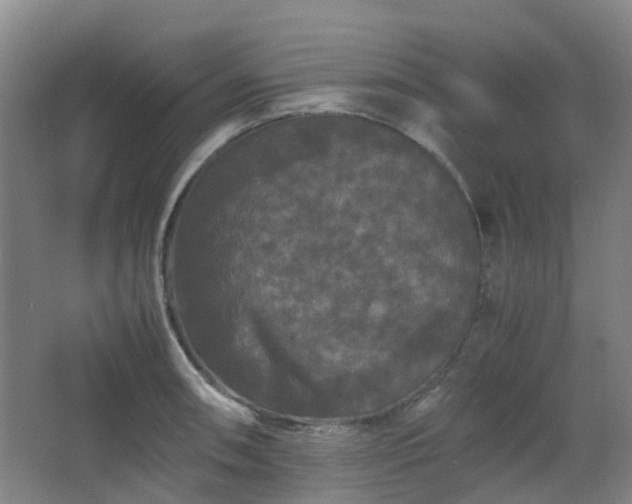 X0000063441090200601231319