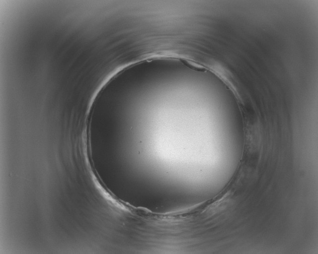 X0000063441100200601231319