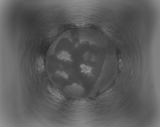X0000063441106200601231318