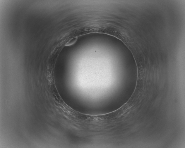 X0000063441109200601231318