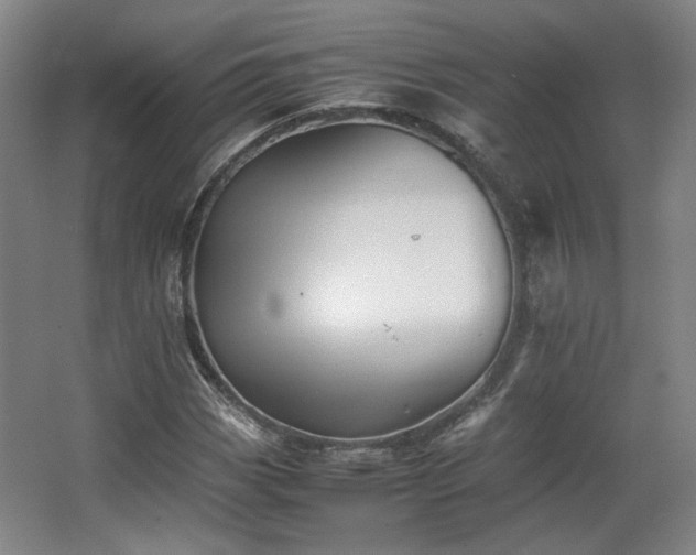 X0000063441113200601231318