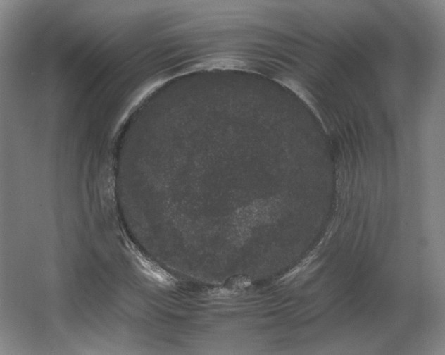 X0000063441115200601231318
