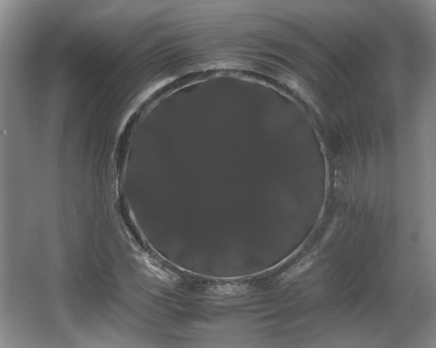X0000063441117200601231318