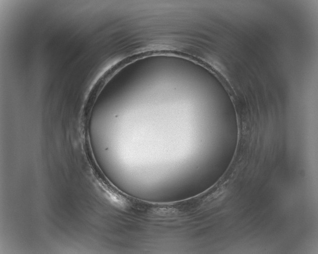 X0000063441119200601231318
