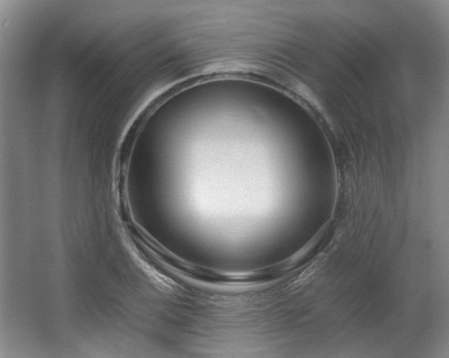 X0000063441124200601231318
