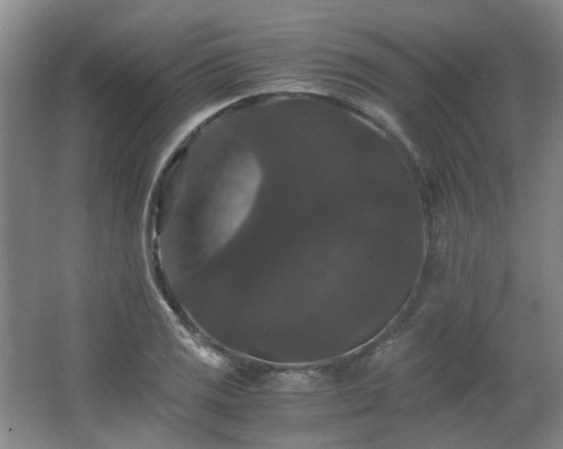 X0000063441125200601231319