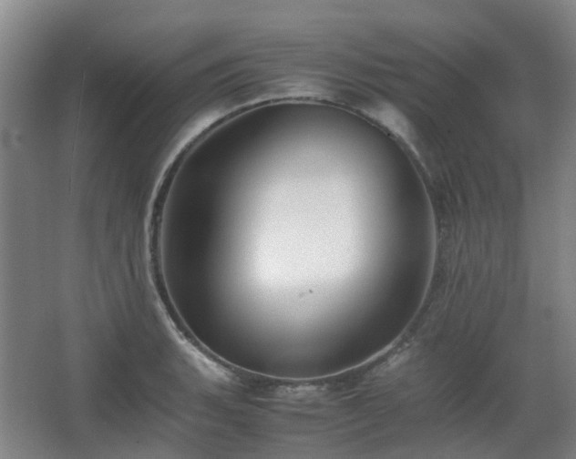 X0000063441135200601231319