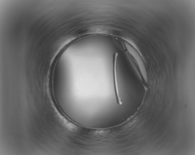 X0000063441139200601231319