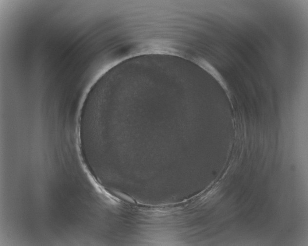 X0000063441144200601231319
