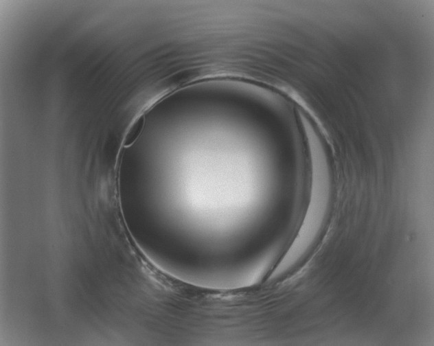 X0000063441145200601231319