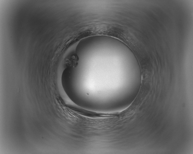 X0000063441153200601231318