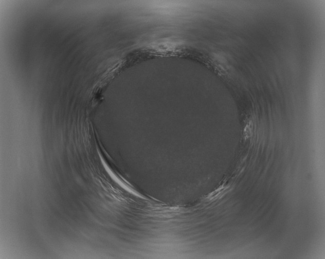 X0000063441156200601231318