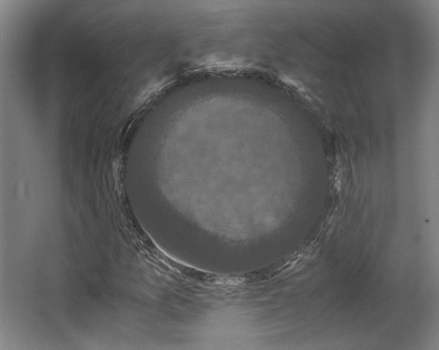 X0000063441157200601231318