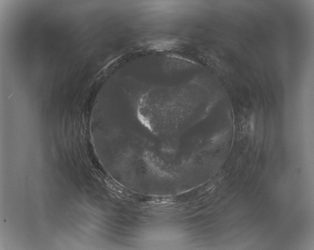 X0000063441158200601231318
