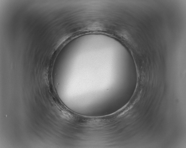 X0000063441162200601231318