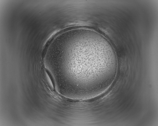 X0000063441163200601231318