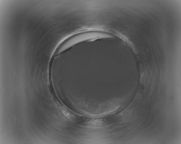 X0000063441174200601231318