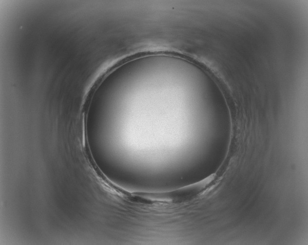 X0000063441175200601231318