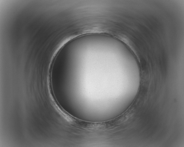 X0000063441187200601231318