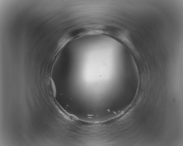 X0000063441193200601231317