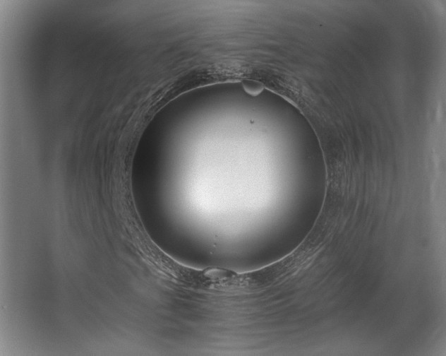 X0000063441201200601231317