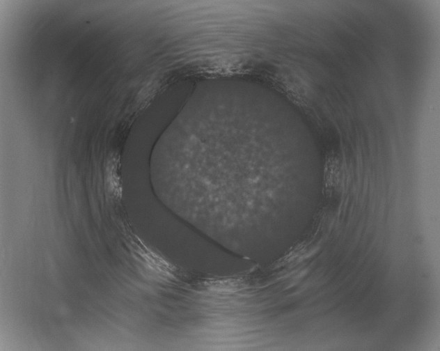 X0000063441202200601231317