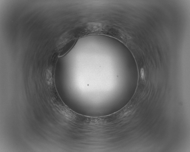 X0000063441203200601231317