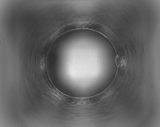 X0000063441204200601231317