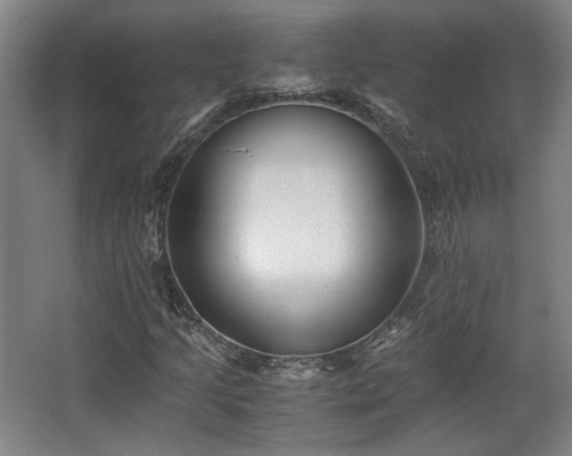 X0000063441205200601231317