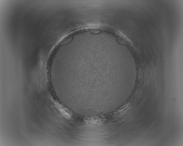 X0000063441208200601231317