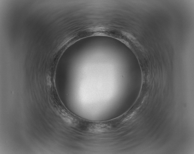X0000063441209200601231317