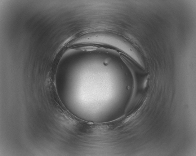 X0000063441210200601231317