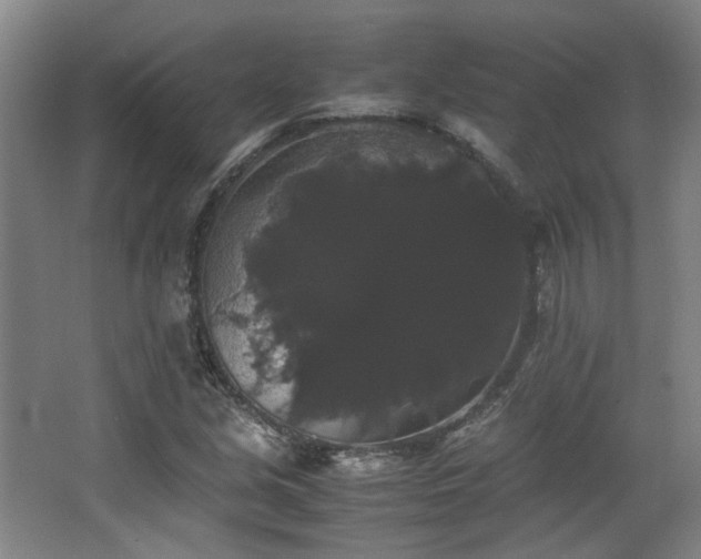 X0000063441213200601231317
