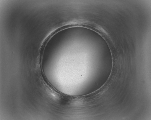X0000063441216200601231317