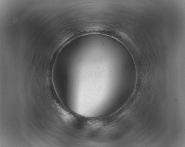X0000063441217200601231317