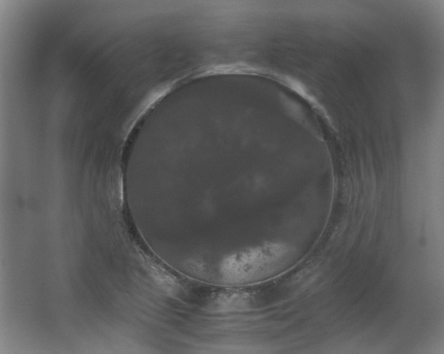 X0000063441221200601231317