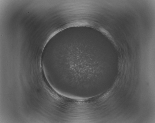 X0000063441226200601231317