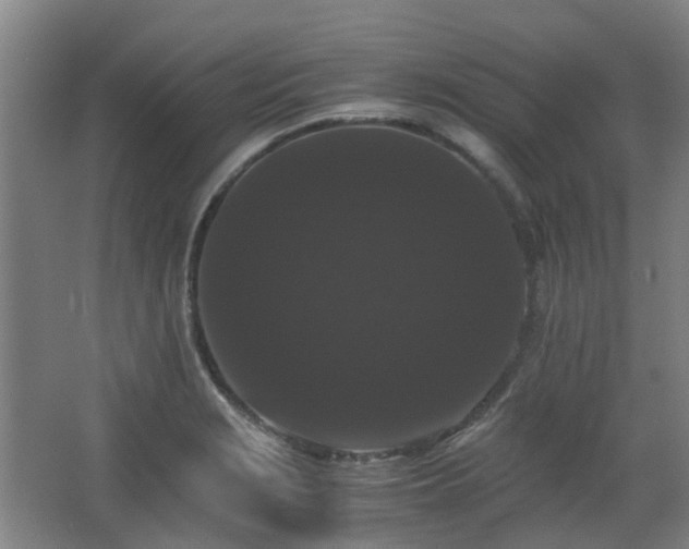 X0000063441229200601231317