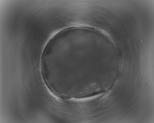 X0000063441231200601231317