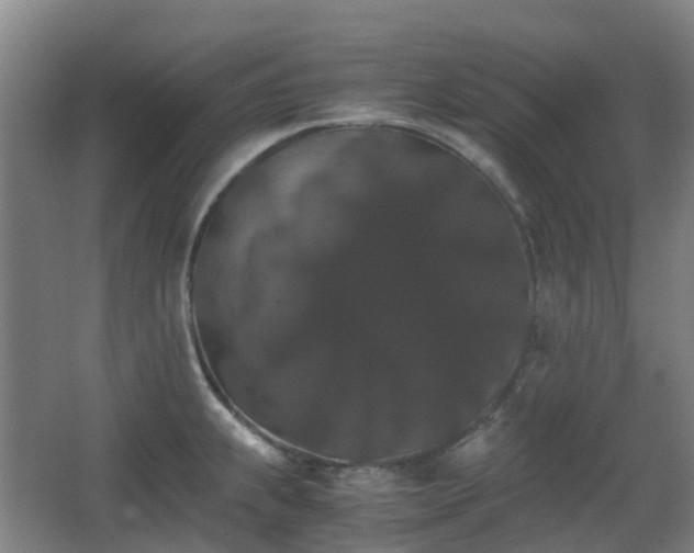 X0000063441239200601231317