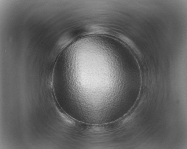 X0000063441241200601231317