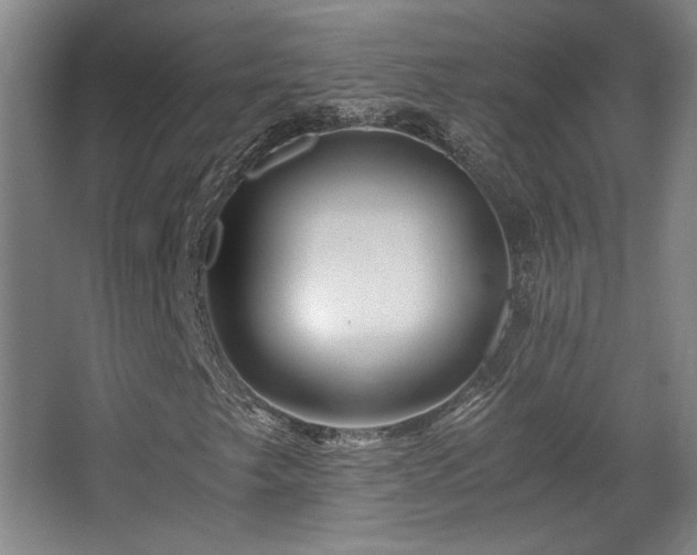 X0000063441249200601231317